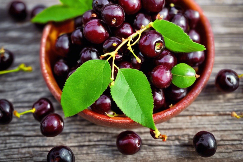Chokecherry food_edited