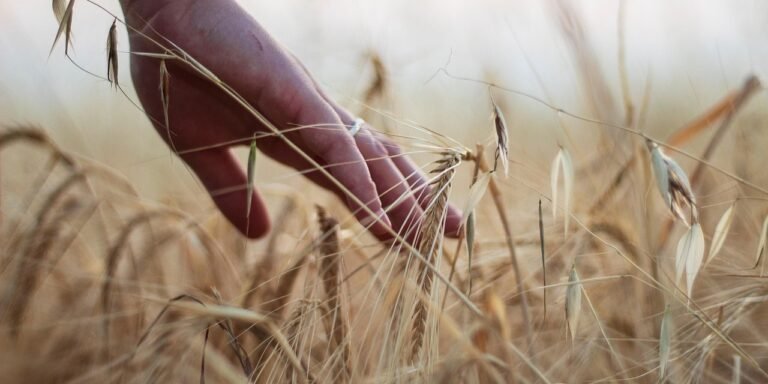 11 Game-Changing Plants That Shaped Human History