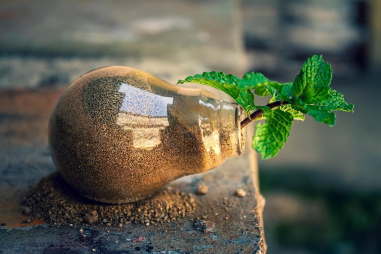 Botany Trends to Watch in 2026