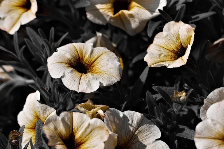 Magical Plants: Unlocking Nature’s Secrets