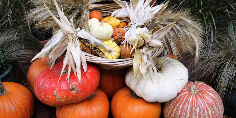 What’s on Your Thanksgiving Plate? The Botanical Origins of Holiday Foods