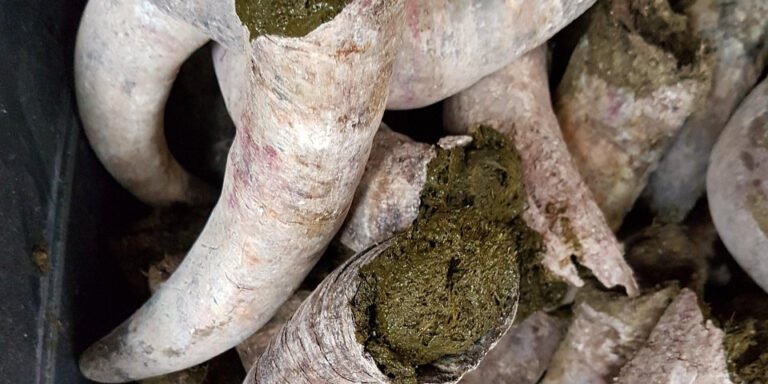 Biodynamic Farming Explained: Origins, Challenges & Future Trends