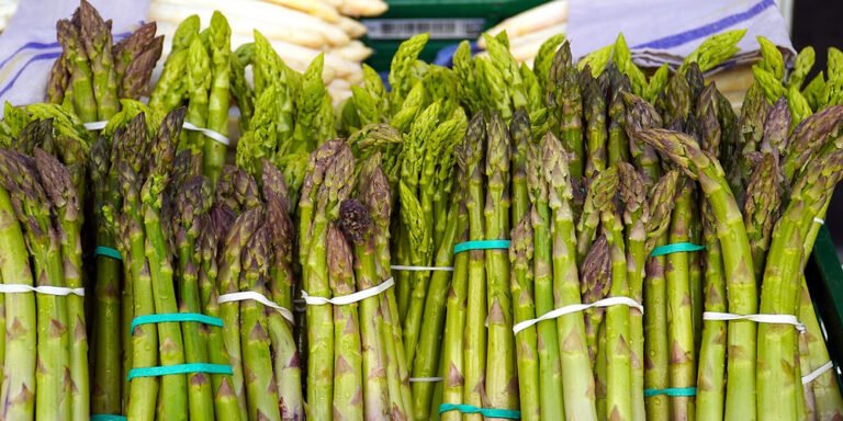 Asparagus: All you need to know