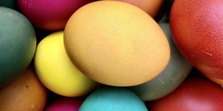 Natural Food Colorants: A Guide to Plant-Based Dyes for Clean Foods