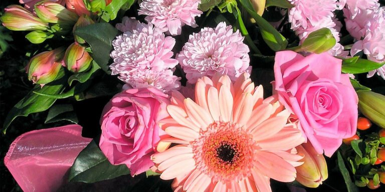 Flowers Explained: How Pollination and Reproduction Really Work