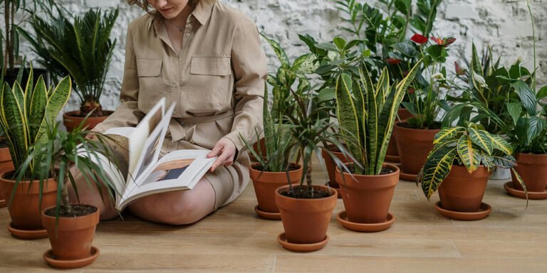 Which Plant Family Are You? Discover Your Botanical Personality Type
