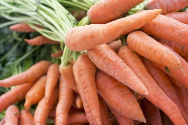 Close-up of vibrant orange carrots with green tops in a pile. The mood is fresh and natural, with no visible text or actions.