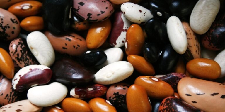 Fabaceae Family: The Ultimate Guide to Legume Species