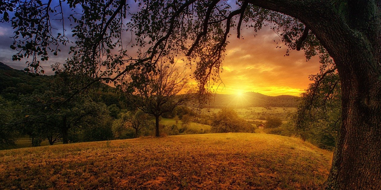 Sunset over a hilly landscape with trees and a large tree in the foreground. Vibrant orange and purple sky creates a serene mood.
