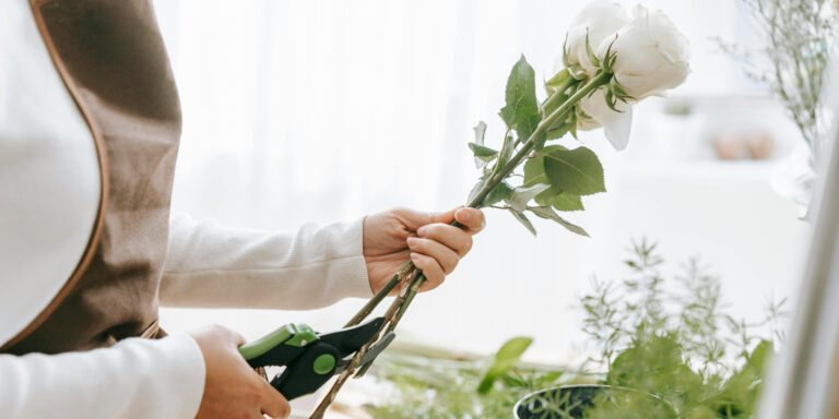 Do Plants Feel Pain? What Science Really Says