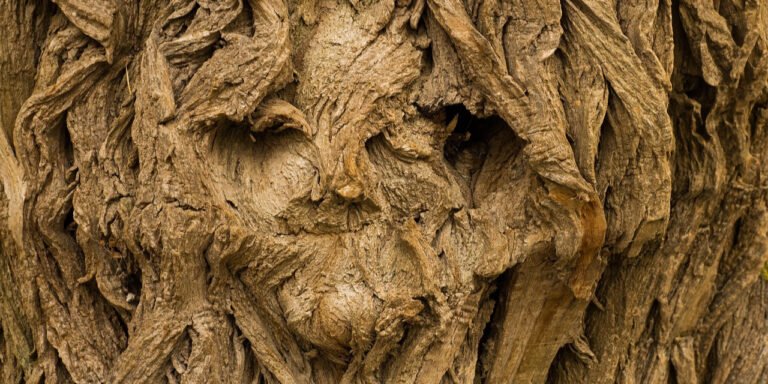 Tree Spirits and Plant Sentience in Folklore and Science