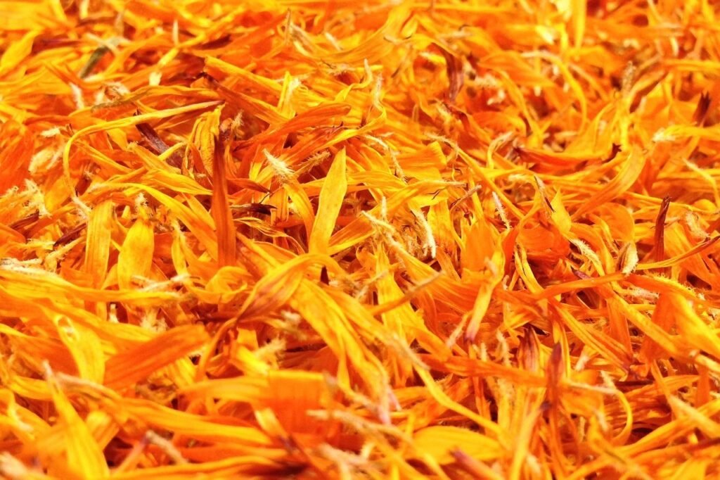 erichbauer0-marigold-591032_1280_edted