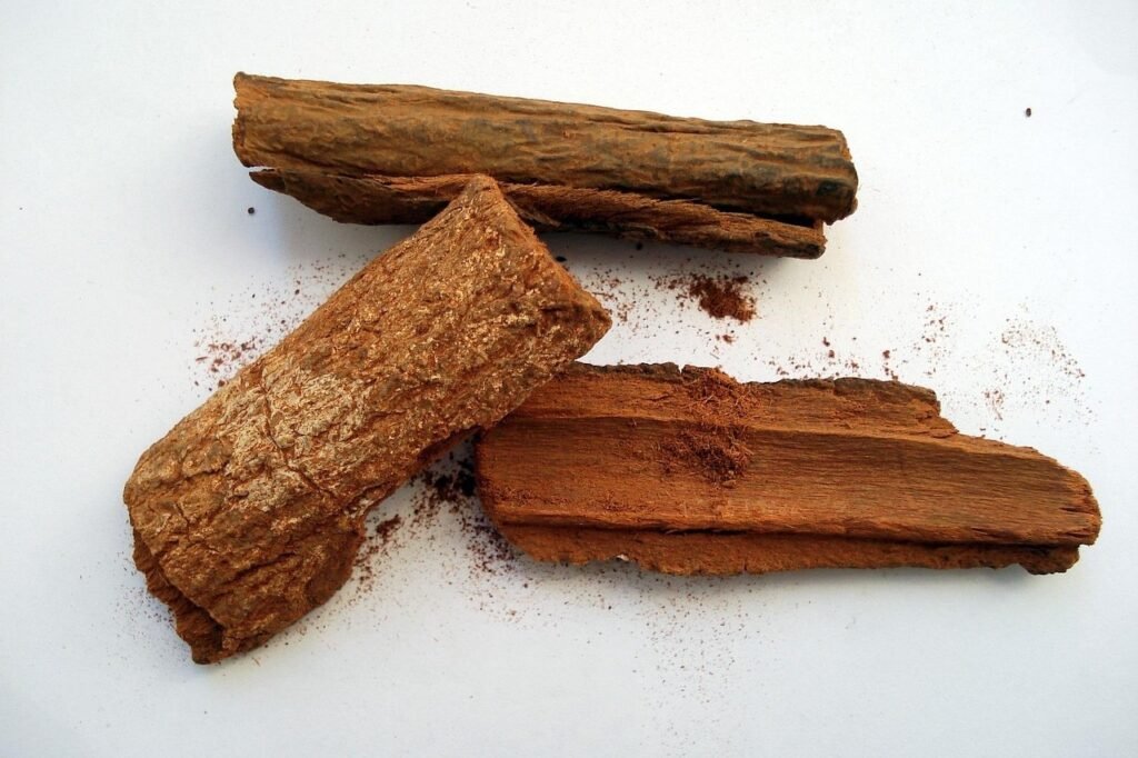 gokalpiscan-cinchona-231298_1280_edited