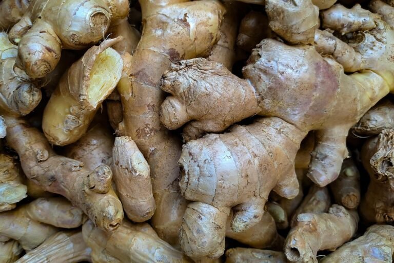 Ginger: All you need to know