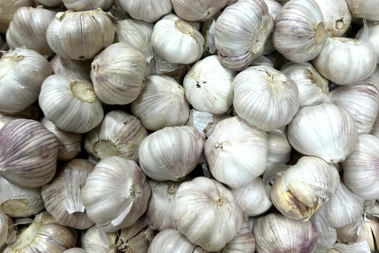 Garlic: All you need to know
