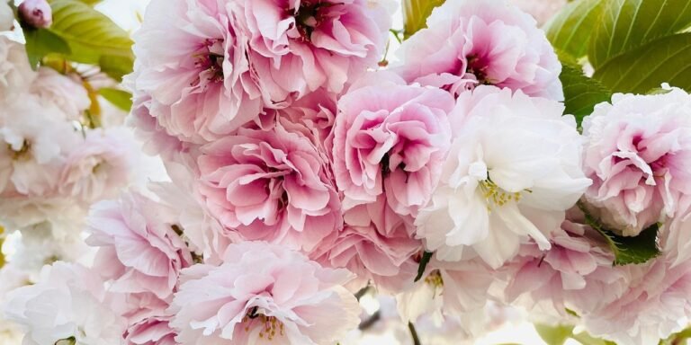 Why We Still Give Flowers