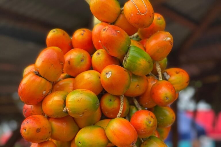 8 Promising Amazon Rainforest Crops for the Future