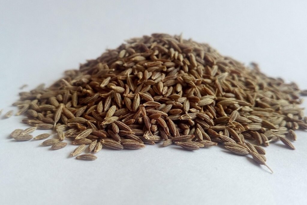 amatussamitahera-cumin-5377176_1280_edited