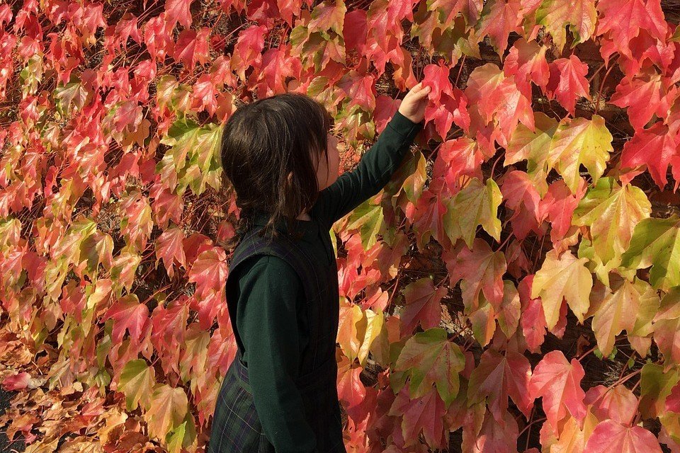 elizadean-autumn-1342664_1280_edited