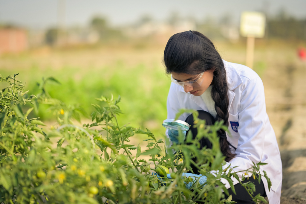geetauniversity-agriculture-10169526_1280