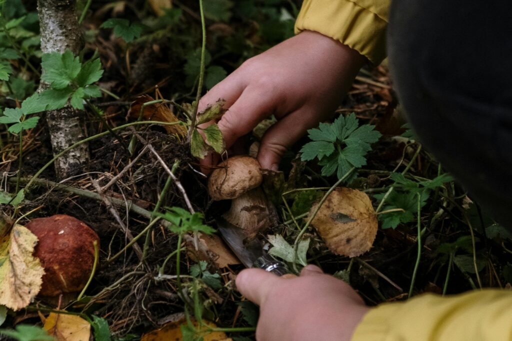 pexels-cottonbro-6034587_edited